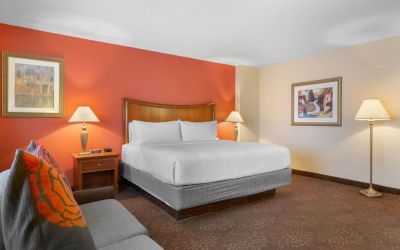 King bed with lounge area at Holiday Inn Express Chicago - Downers Grove.