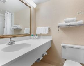 Guest bathroom with shower at Holiday Inn Express Chicago - Downers Grove.