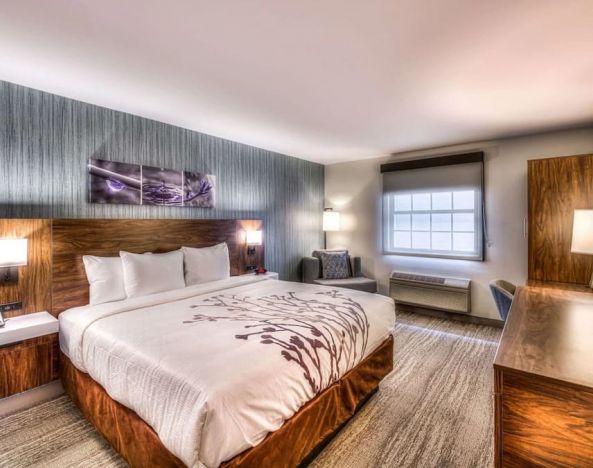 Delux king room with natural light at Sleep Inn Oakbrook Terrace.