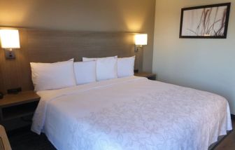 Cozy delux king room at Red Roof Plus Bourbonnais.