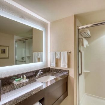 Hotel Holiday Inn Express Atlanta Airport - North image