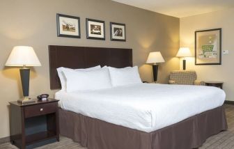 Romantic king room at Holiday Inn Aurora North- Naperville.