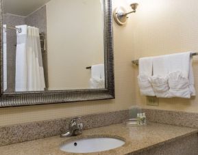 Private guest bathroom with shower at Holiday Inn Aurora North- Naperville.