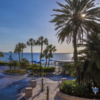 Hotel Sailport Resort Waterfront Suites on Tampa Bay image