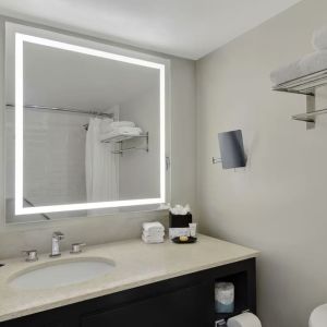 Private guest bathroom with shower and free toiletries at Hotel Tampa Riverwalk