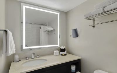 Private guest bathroom with shower and free toiletries at Hotel Tampa Riverwalk