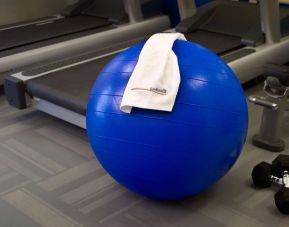 The hotel fitness center has free weights, treadmills, and a bench, as well as towels and gym balls.