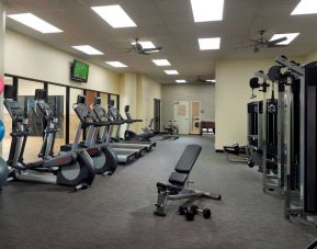 The hotel fitness center has an assortment of exercise machines, plus free weights and benches, and a wall-mounted TV.