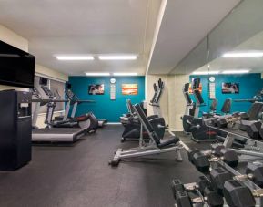Sonesta ES Suites Chicago Downtown Magnificent Mile - Medical’s fitness center includes both free weights and a variety of exercise machines, and has a wall-mounted TV.