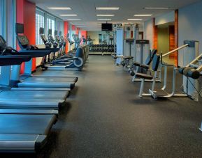 The hotel fitness center is equipped with an extensive array of exercise machines, free weights, and a widescreen television.