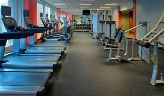 The hotel fitness center is equipped with an extensive array of exercise machines, free weights, and a widescreen television.