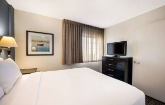 Sonesta Simply Suites Boston Braintree double bed guest room, including window and television.