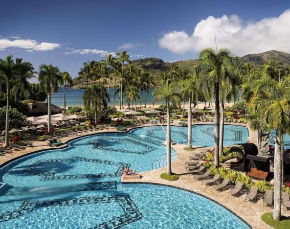 The hotel’s outdoor pool includes sun loungers and tall trees nearby.