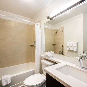Guest bathroom with shower and bath at Sonesta Simply Suites Detroit Warren.