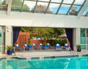 The indoor pool at Royal Sonesta Boston has plenty of natural light, with sun loungers and potted plants by the side.