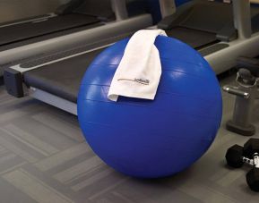 The hotel fitness center has exercise machines including treadmills, alongside equipment such as free weights, gym balls, and benches.