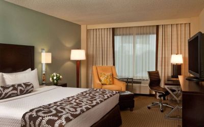 Double bed guest room in Sonesta Atlanta Airport North, featuring TV, window, armchair, and workspace desk and chair.