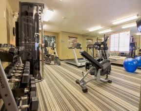 Sonesta Simply Suites St Louis Earth City’s fitness center has rows of free weights, gym balls, a TV, and assorted types of exercise machinery.