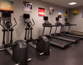 Sonesta Chicago O'Hare Airport Rosemont’s fitness center has artwork on the walls and machines such as treadmills and ellipticals.