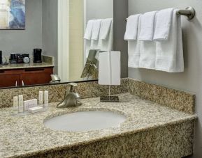 Guest bathroom at Sonesta Select Milwaukee Brookfield.