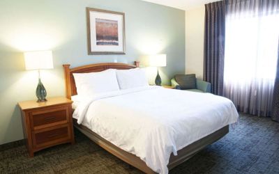 Sonesta ES Suites San Antonio Northwest - Medical Center double bed guest room, including armchair, and plenty of natural light from the large window.