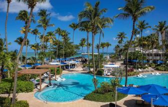 Royal Sonesta San Juan’s outdoor pool features sun loungers by the side and in shallow water, with towering palm trees all around.