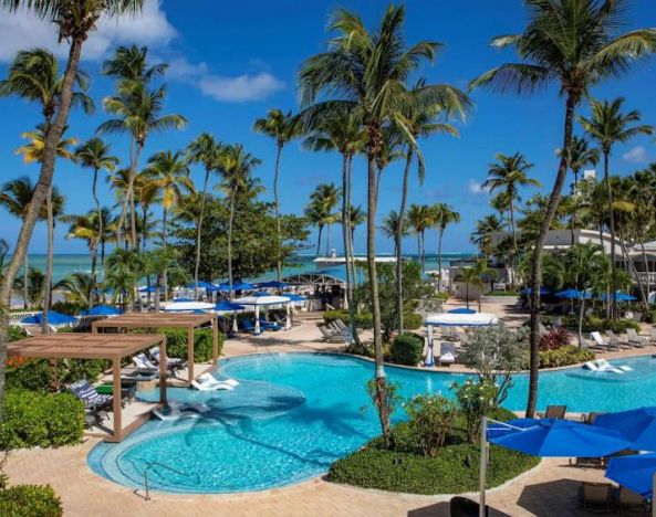 Royal Sonesta San Juan’s outdoor pool features sun loungers by the side and in shallow water, with towering palm trees all around.