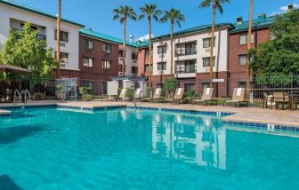 The hotel’s outdoor pool has loungers, as well as a table and chairs, by the side, plus towering trees beyond the fence.