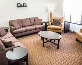 Lobby and lounge ideal for coworking at Sleep Inn Tinley Park.