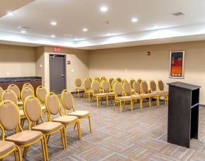 Professional meeting room at Hotel Pearland.