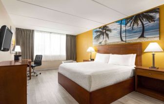 Day use room with natural light at EnVision Hotel Miami International Airport.
