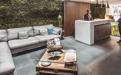 Flowsuites Condesa