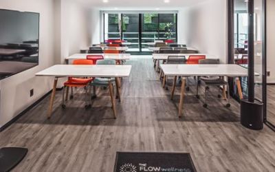 Flowsuites Condesa