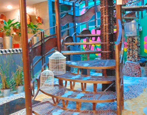 Hotel Coyotito Beds Coyoacán, Mexico City