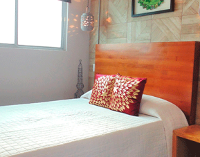 Hotel Coyotito Beds Coyoacán, Mexico City