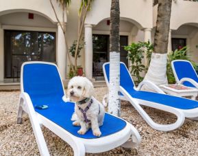 Hacienda Paradise Boutique Hotel By Xperience Hotels, Playa del Carmen