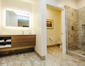 Guest bathroom with shower at Palace Inn Blue CityCentre.