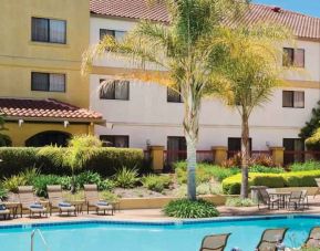 Relaxing pool area with lounges at the DoubleTree by Hilton Sonoma Wine Country.