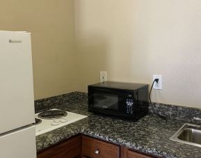 Fridge and microwave at Palace Inn Westheimer.
