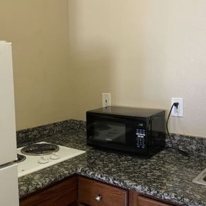 Fridge and microwave at Palace Inn Westheimer.
