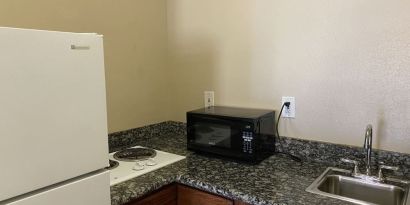 Fridge and microwave at Palace Inn Westheimer.
