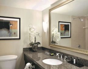 Guest bathroom at Embassy Suites By Hilton Denver Tech Center.