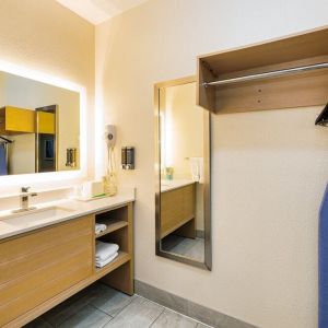 Guest bathroom with shower at Palace Inn Blue IAH East.