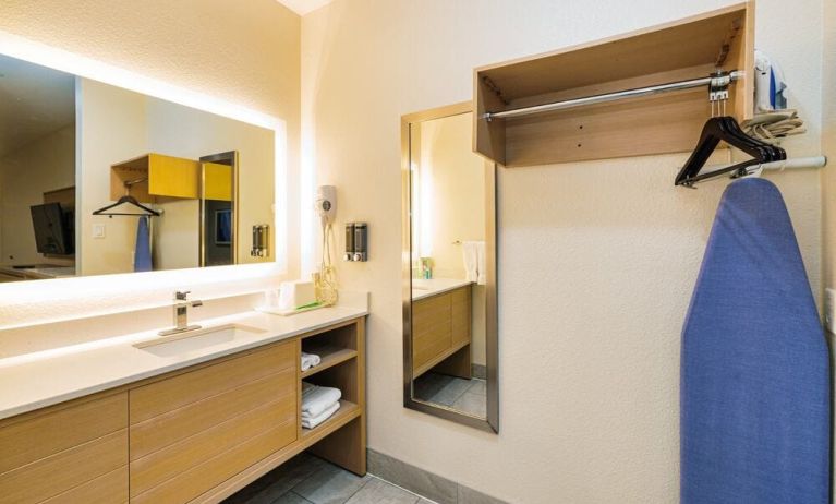 Guest bathroom with shower at Palace Inn Blue IAH East.