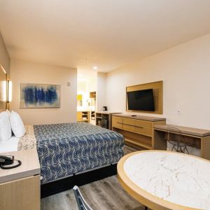 Day use room with TV and work desk at Palace Inn Blue IAH East.
