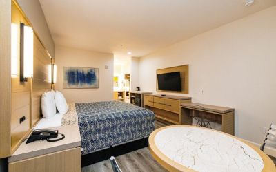 Day use room with TV and work desk at Palace Inn Blue IAH East.