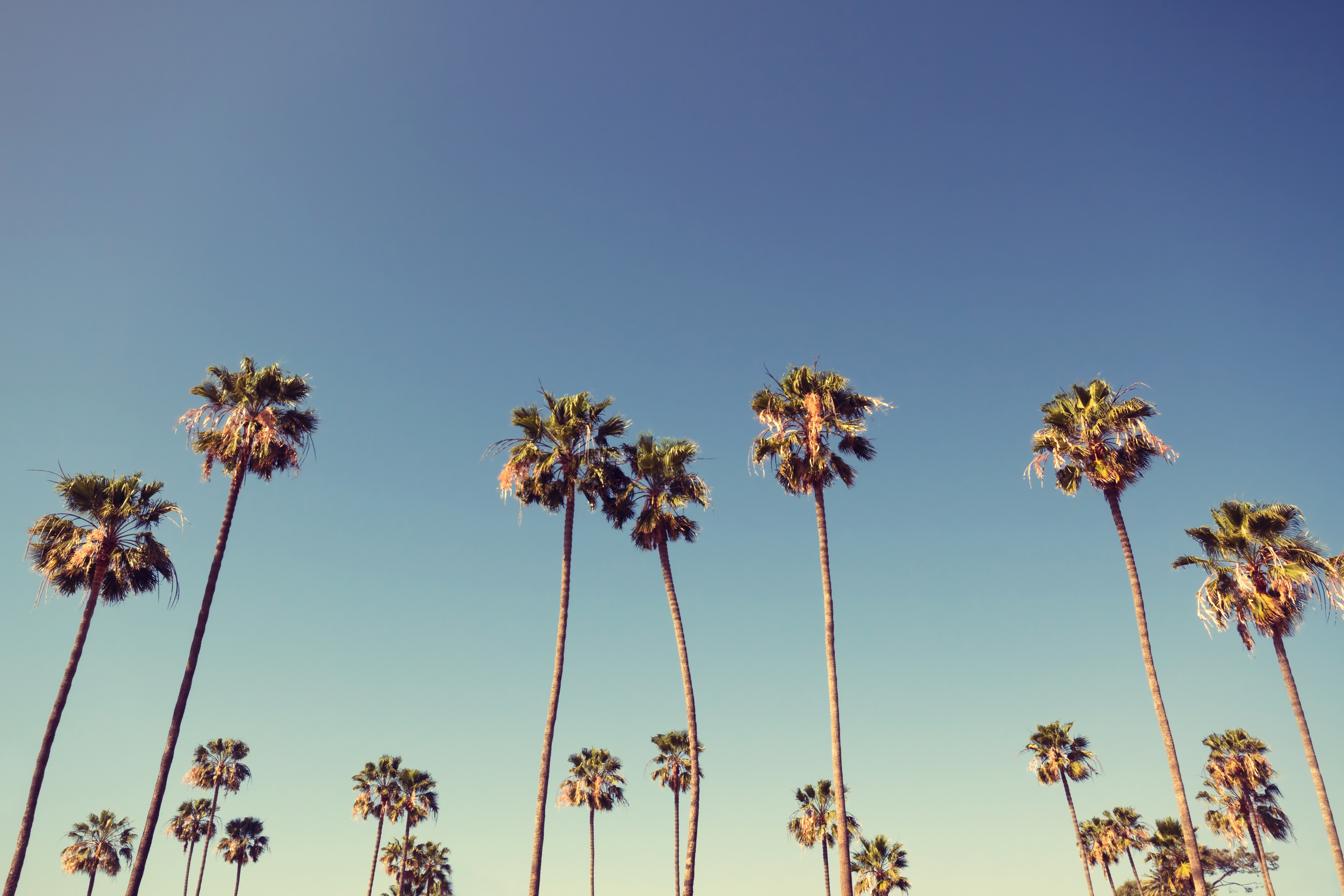 An Insider’s Guide to a Day Trip in Los Angeles - Dollarphotoclub 80830099