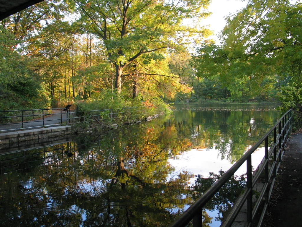 The Hidden City: New York's 'Secret' Gardens and Parks - ProspectParkReflections7957