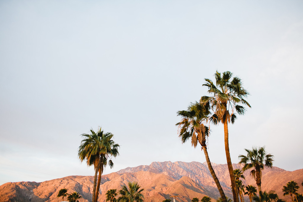 The Ultimate Guide to a Daycation in Palm Springs
