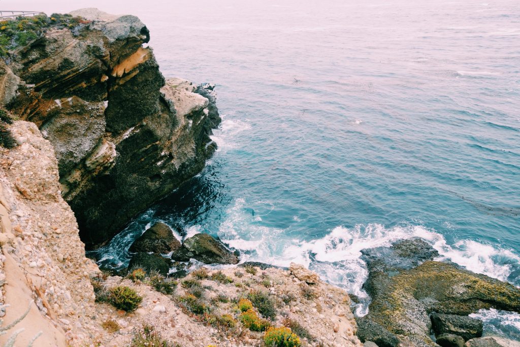 Point Lobos